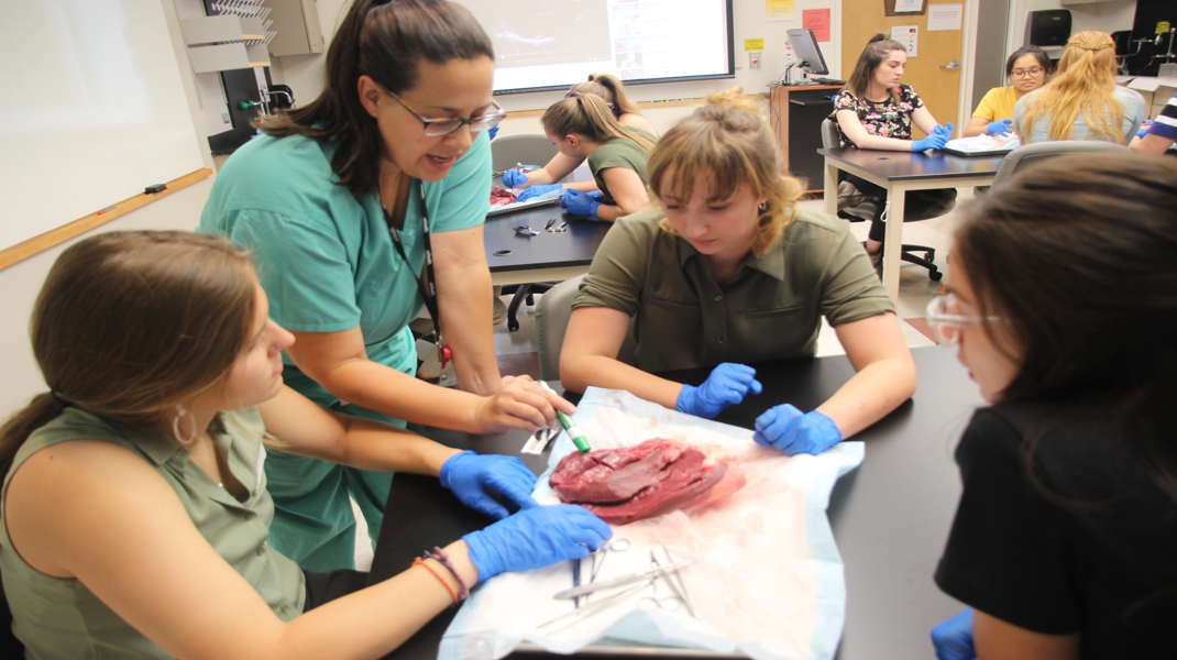 PreMed Wilderness Medicine Course Colorado CU Wilderness Medicine