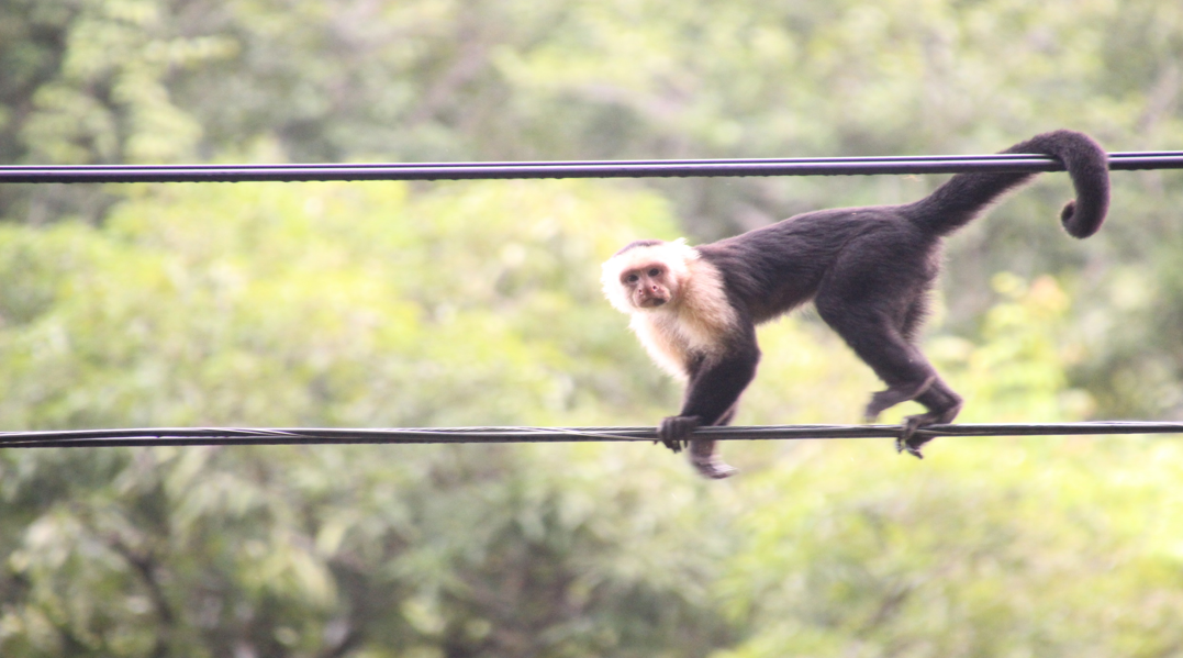 Costa Rica 2