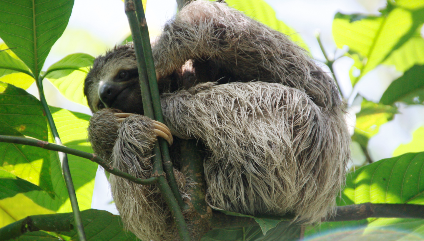 Costa Rica