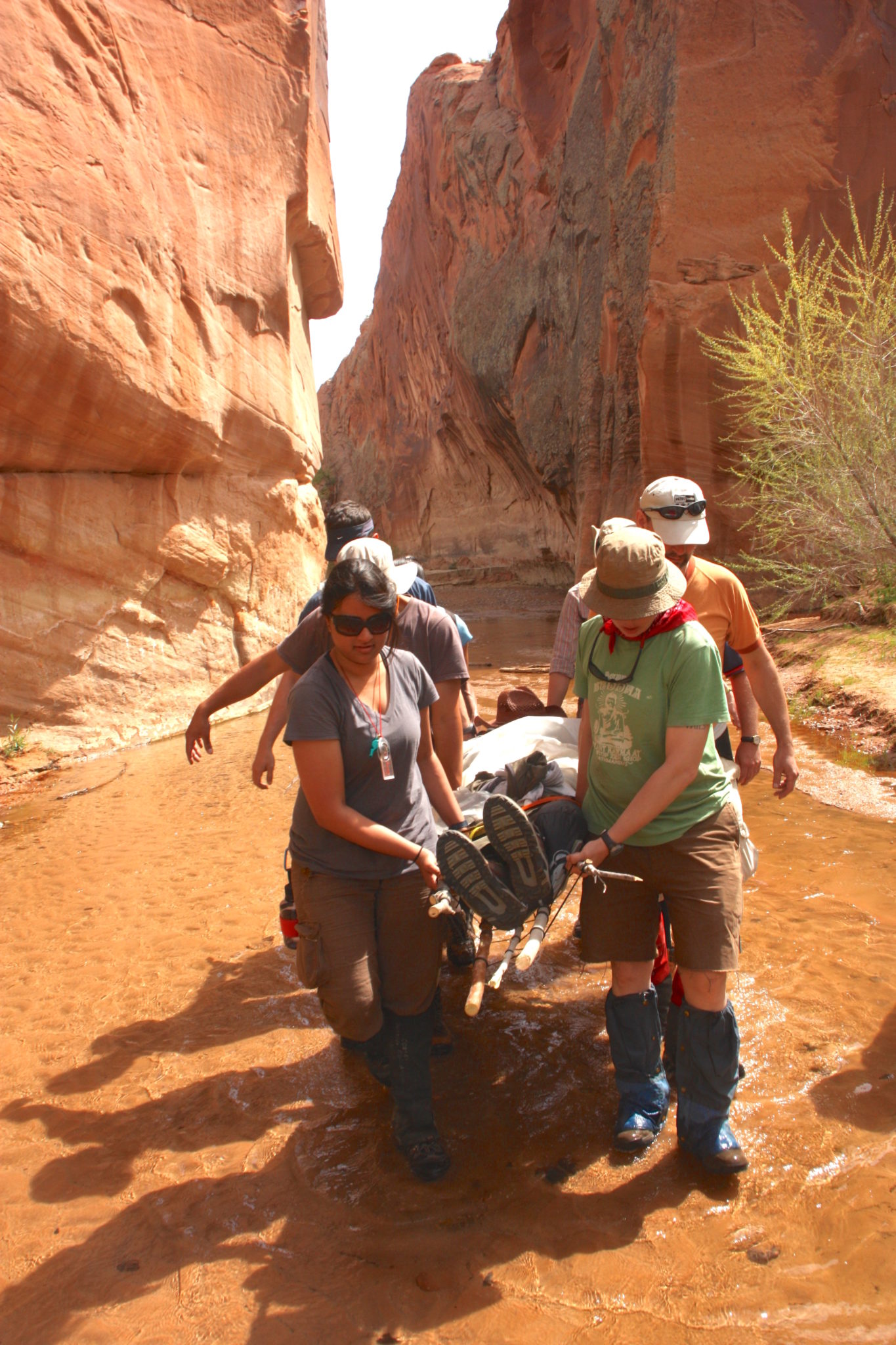 litter carry desert copy